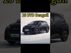 Κινέζικα ηλεκτρικά αυτοκίνητα